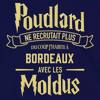 tee-shirt harry potter bordeaux