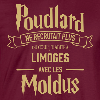 Sweat capuche POUDLARD