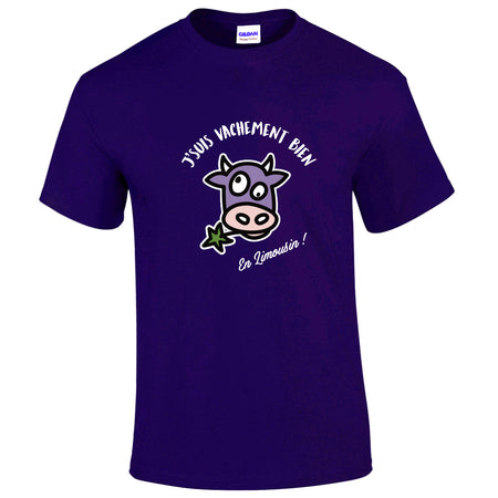 tee shrt je suis vachement bien en Limousin