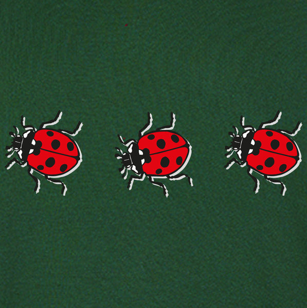 pull coccinelles