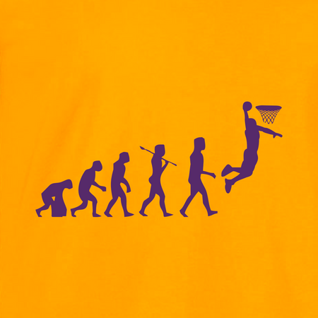 t-shirt basket evolution