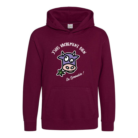 sweat capuche limousin